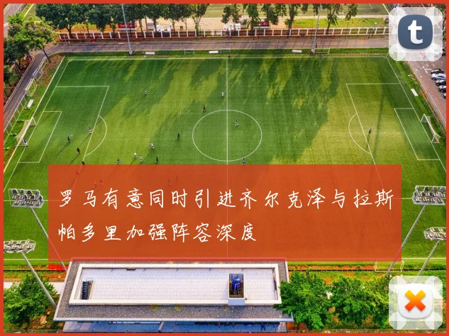罗马有意同时引进齐尔克泽与拉斯帕多里加强阵容深度